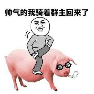 微信群主搞笑表情包