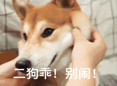 微信二狗恶搞表情包