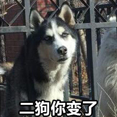 微信二狗恶搞表情包
