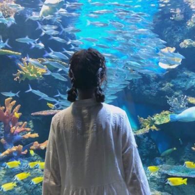 微信头像女生简单背影