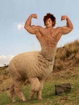 微信经典爆笑恶搞春哥表情包合集下载