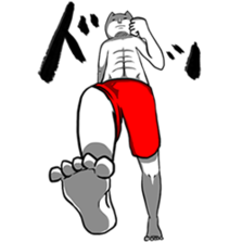 搞笑逗比风格僵硬猫系列微信表情包下载