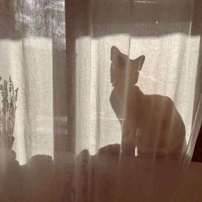 微信唯美意境小清新头像
