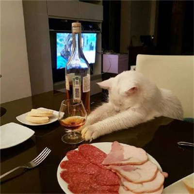 微信个性好看喵星人头像