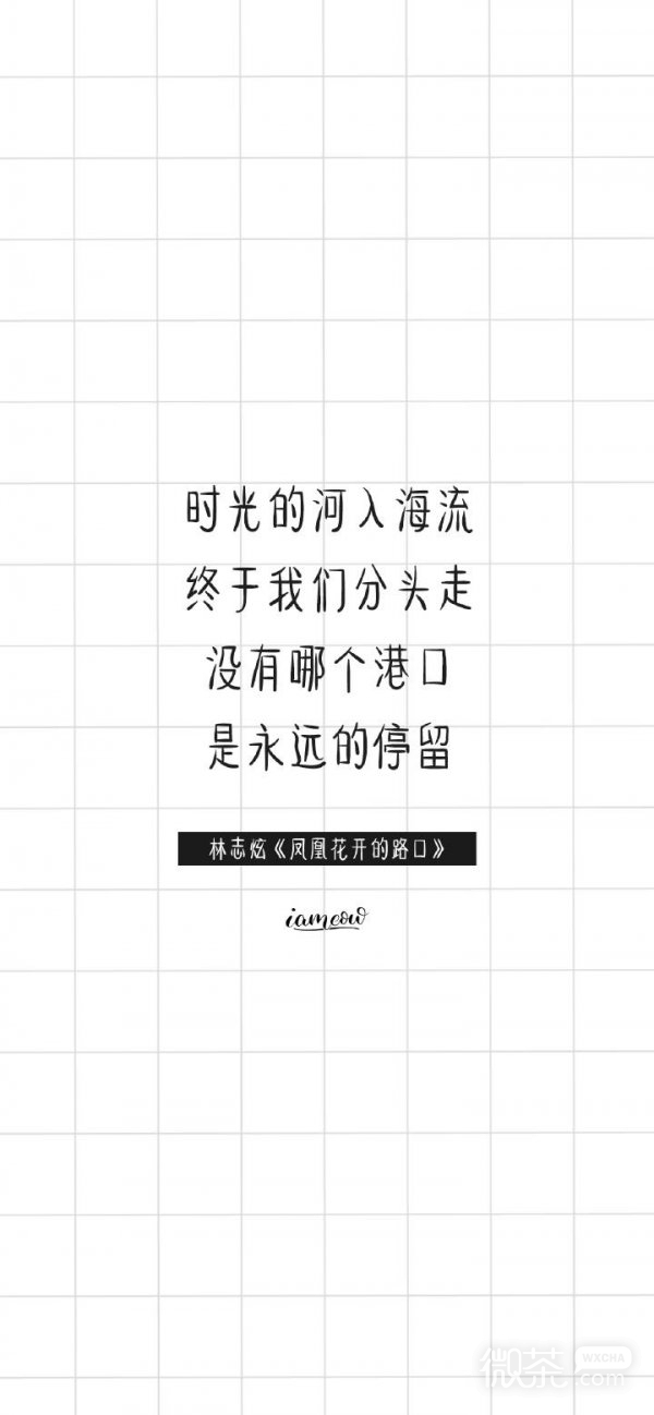 微信个性歌词文字聊天背景