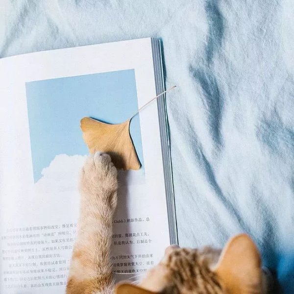 微信唯美少女心朋友圈配图