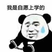 我自愿的微信熊猫头恶搞表情包