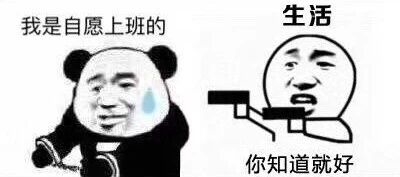 我自愿的微信熊猫头恶搞表情包