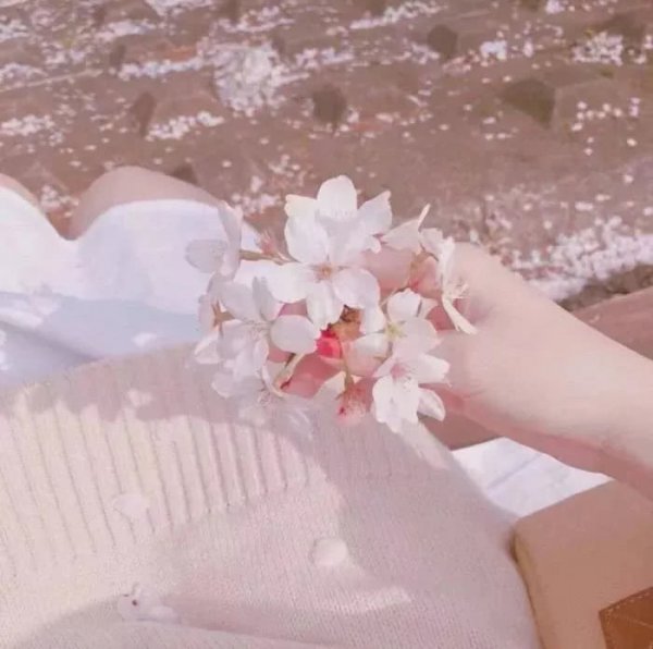 微信唯美少女心朋友圈配图