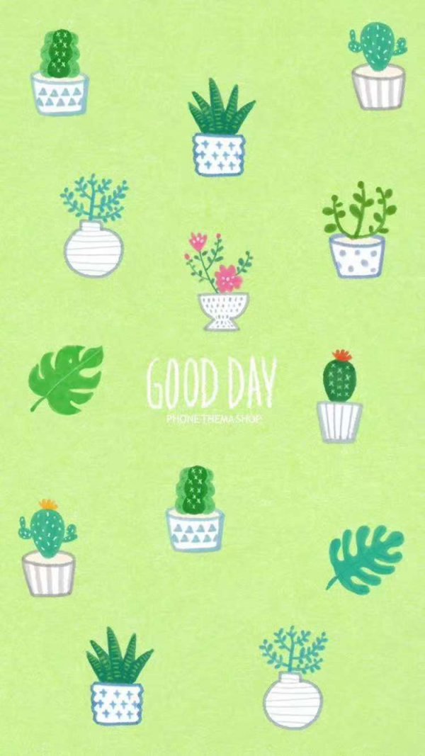 微信唯美绿色护眼聊天背景