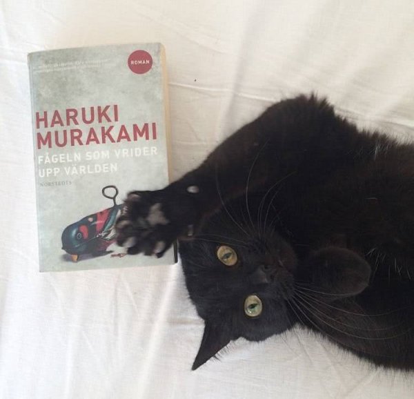 微信黑色系伤感朋友圈配图