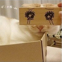 微信十月最新唯美卡通风格情侣头像合集下载