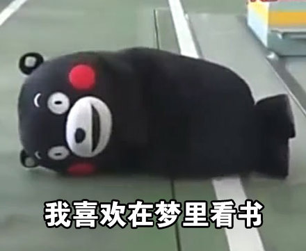 微信熊本熊恶搞学习表情包