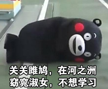 微信熊本熊恶搞学习表情包