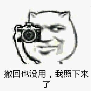 微信拍照恶搞表情包