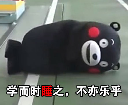 微信熊本熊恶搞学习表情包