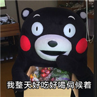 微信熊本熊斗图表情包