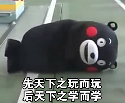 微信熊本熊恶搞学习表情包