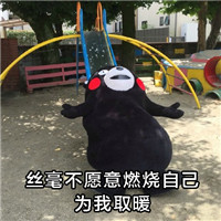 微信熊本熊斗图表情包
