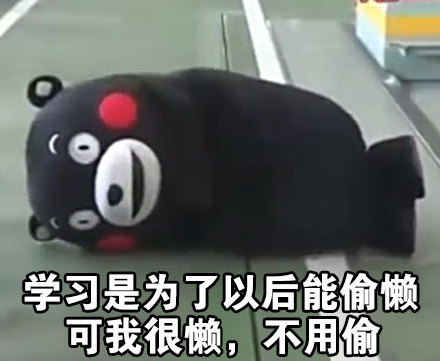 微信熊本熊恶搞学习表情包