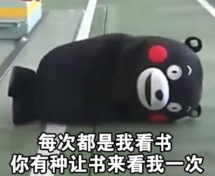 微信熊本熊恶搞学习表情包