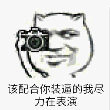 微信拍照恶搞表情包