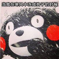 微信熊本熊斗图表情包