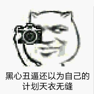 微信拍照恶搞表情包