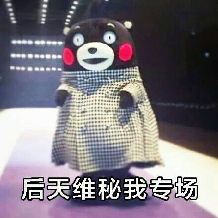 微信熊本熊减肥恶搞表情包