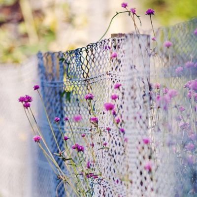 微信个性唯美风景头像