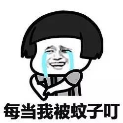 伤心的时候有朋友真好微信蘑菇头恶搞表情包