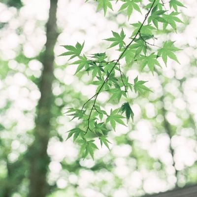 微信个性唯美风景头像