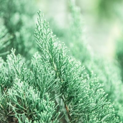 微信个性唯美风景头像