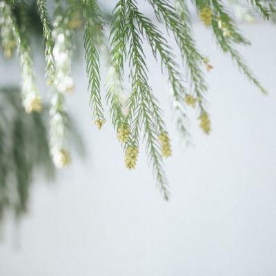 微信个性唯美风景头像