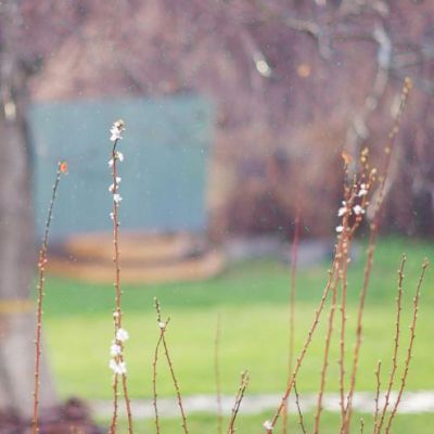 微信个性唯美风景头像