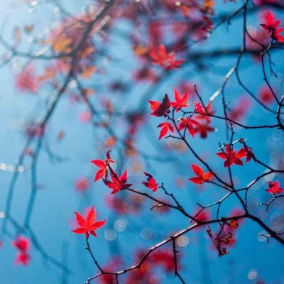 微信个性唯美风景头像