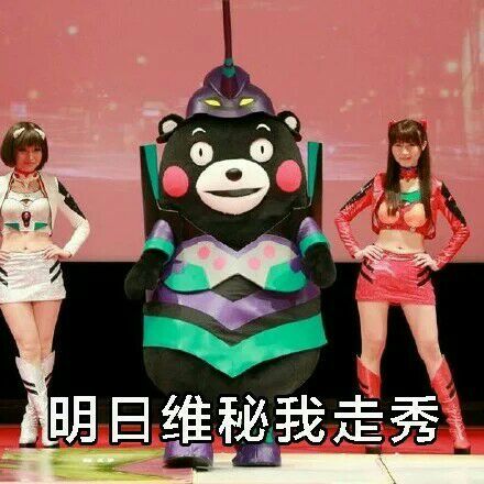 微信熊本熊减肥恶搞表情包