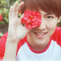 唯美小清新微信一左一右情侣头像合集下载