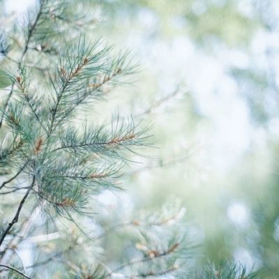 微信个性唯美风景头像