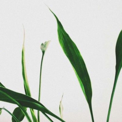 微信个性唯美风景头像