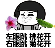 我是萌神微信蘑菇头恶搞表情包