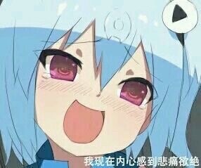 微信可爱二次元表情包