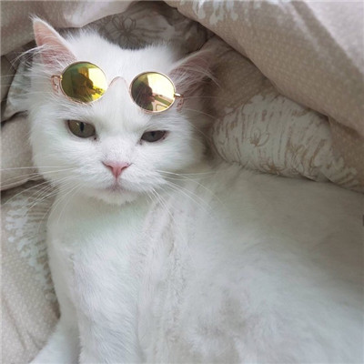 微信可爱萌萌哒喵星人头像