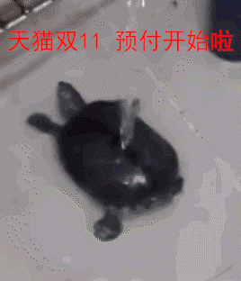 微信双十一恶搞表情包