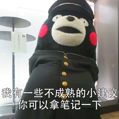 我有一些不成熟的小建议微信熊本熊恶搞表情包