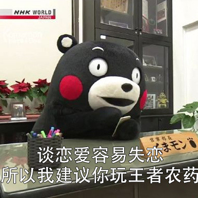 我有一些不成熟的小建议微信熊本熊恶搞表情包