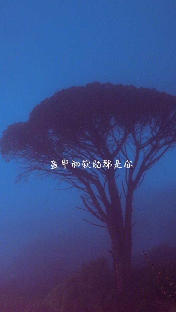 微信带文字小清新聊天背景图