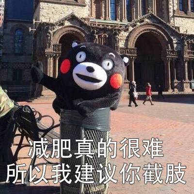 我有一些不成熟的小建议微信熊本熊恶搞表情包