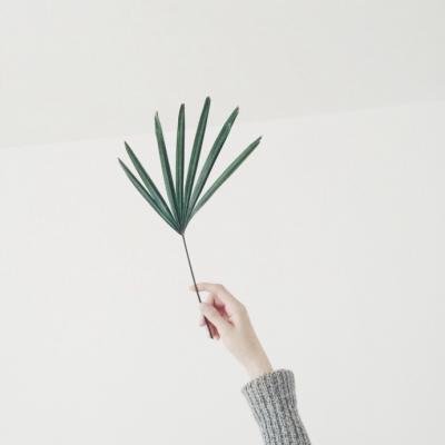 微信唯美范风景静物头像