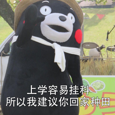 我有一些不成熟的小建议微信熊本熊恶搞表情包
